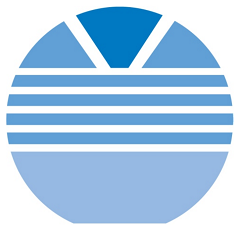 [WSI Logo]