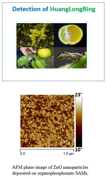 [research]