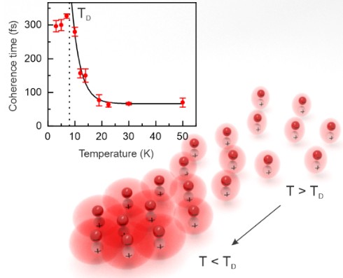 excitonic_many_body_states