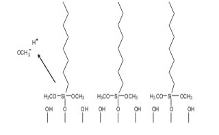 Stutzmann 19