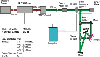 Stutzmann 8